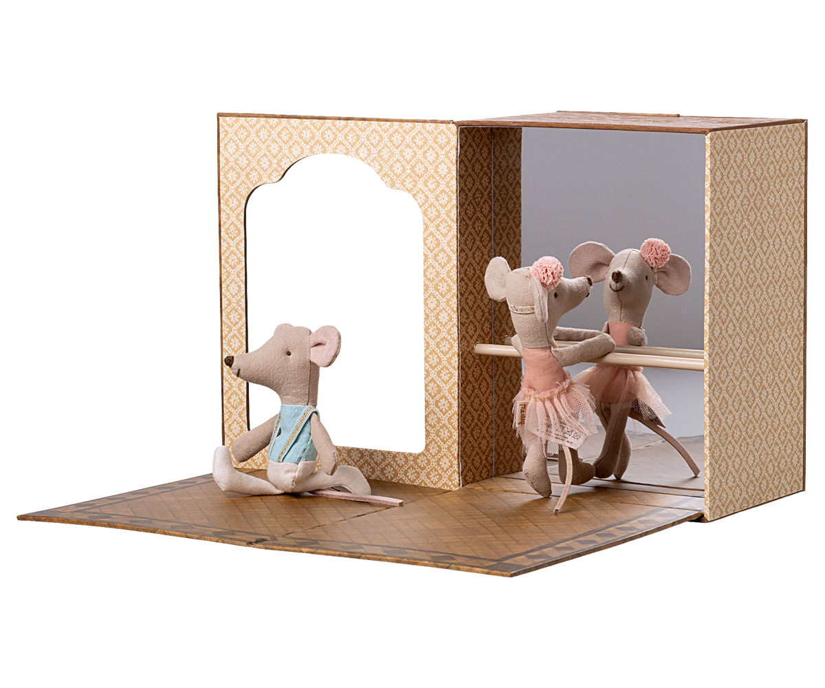 Studio de danse avec petite sœur et petit frère Souris