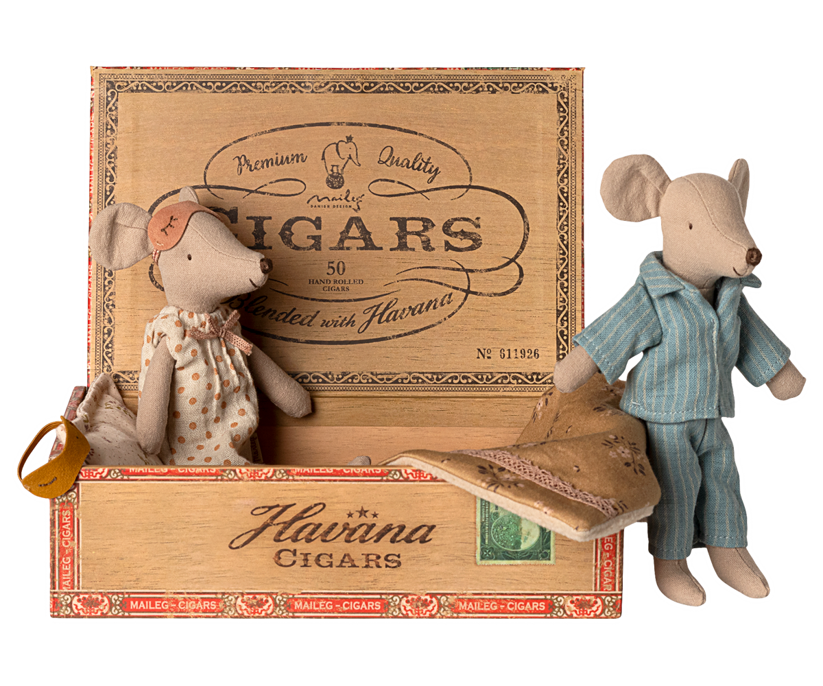 Souris Maman & Papa dans leur coffret à cigares