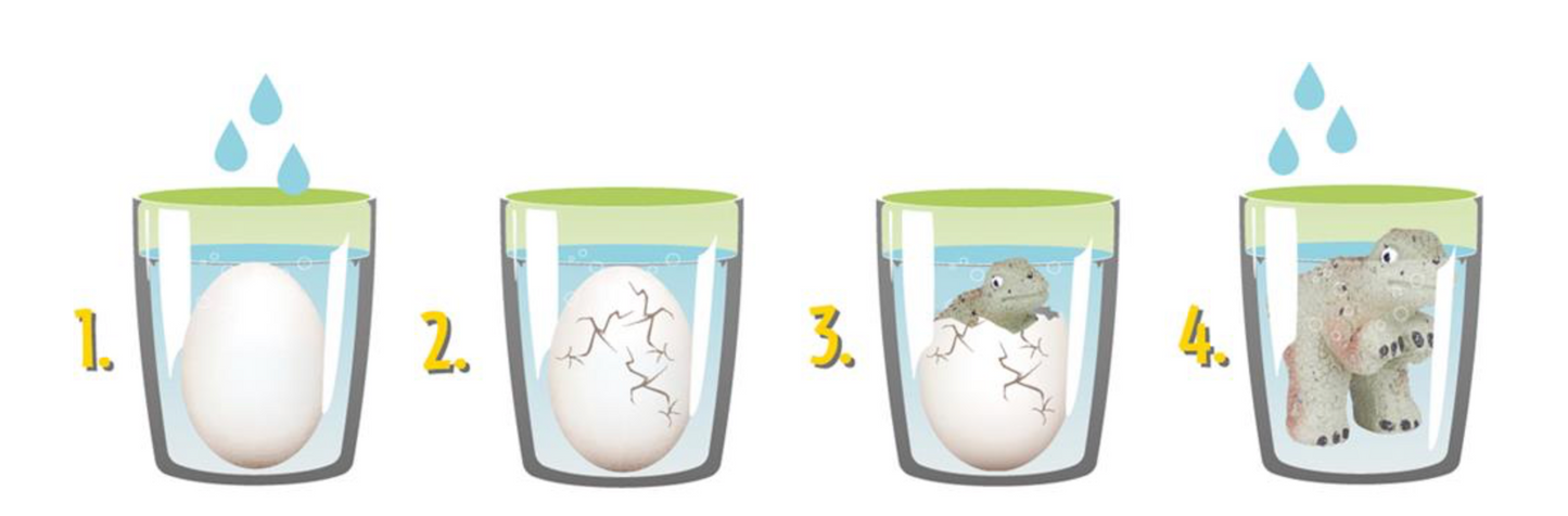 Dinosaure sortant de l'oeuf