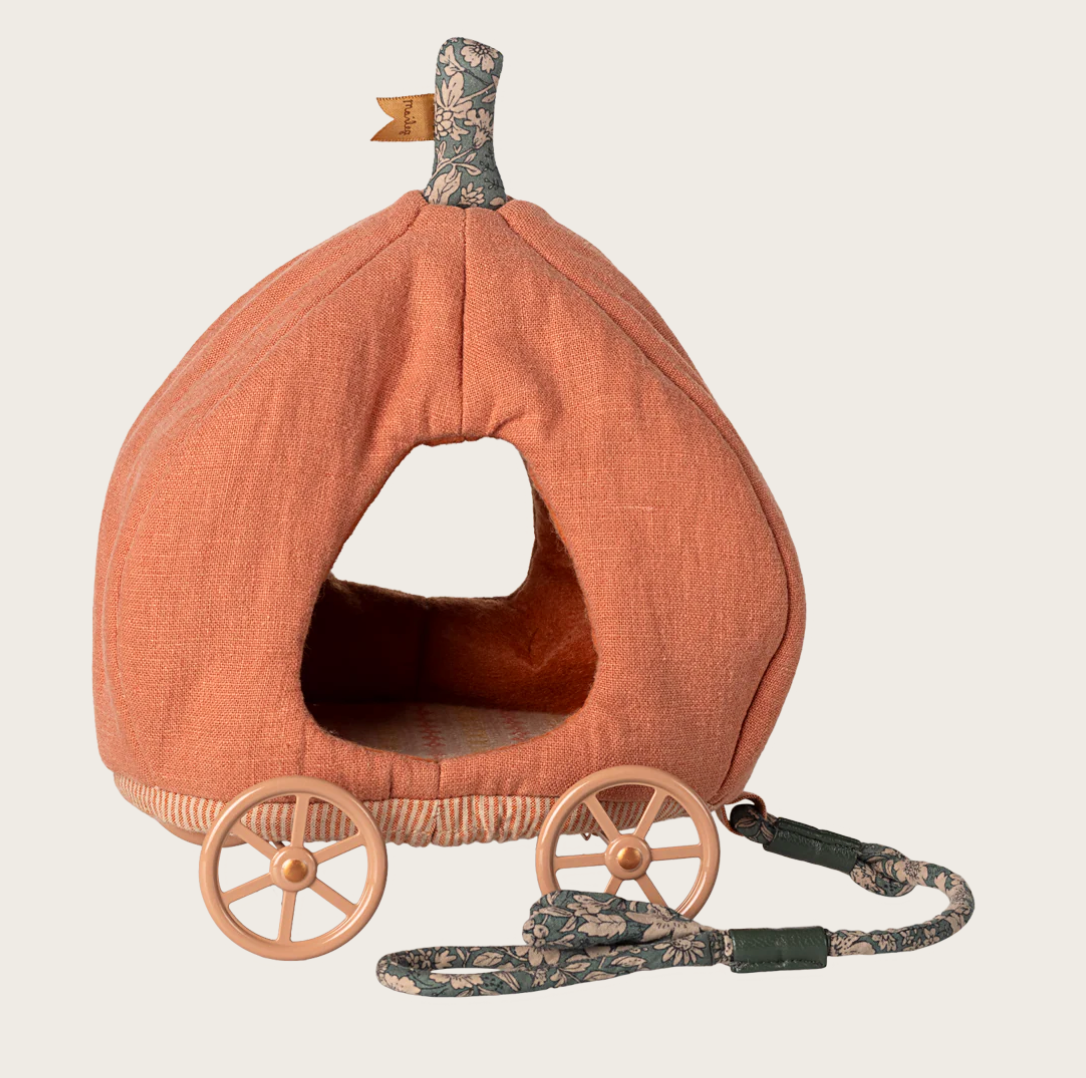 Carrosse citrouille - Souris