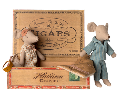 Souris Maman & Papa dans leur coffret à cigares
