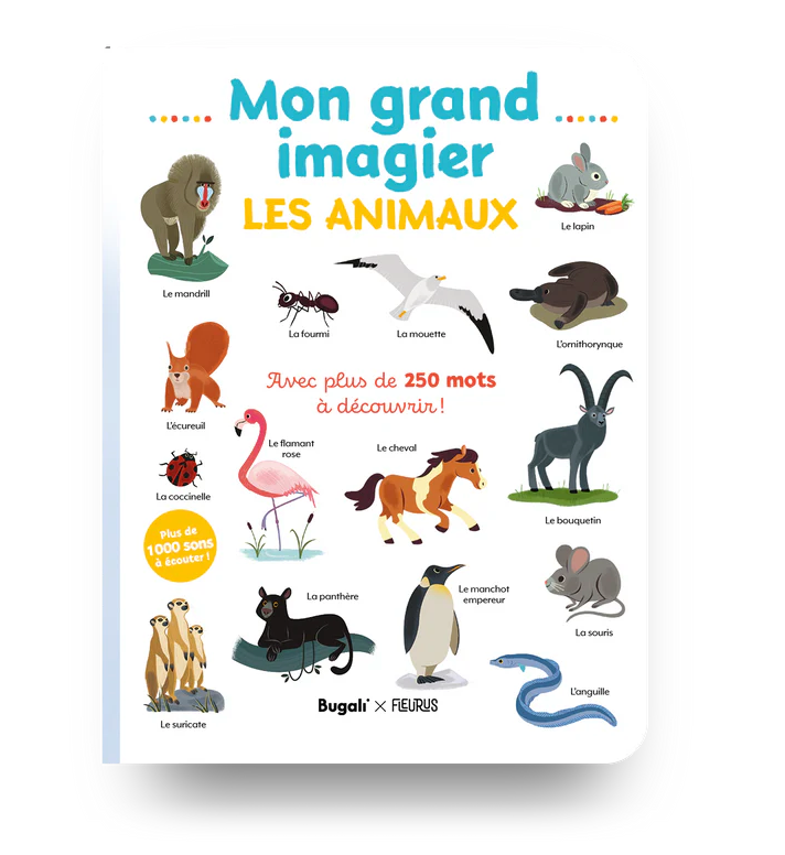 Pack tablette de lecture interactive x2 livres - 3+ / 5+