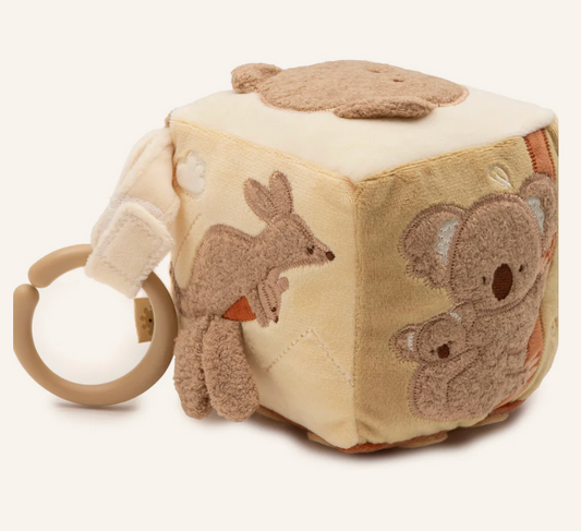 Cube d'activités - Kangourou