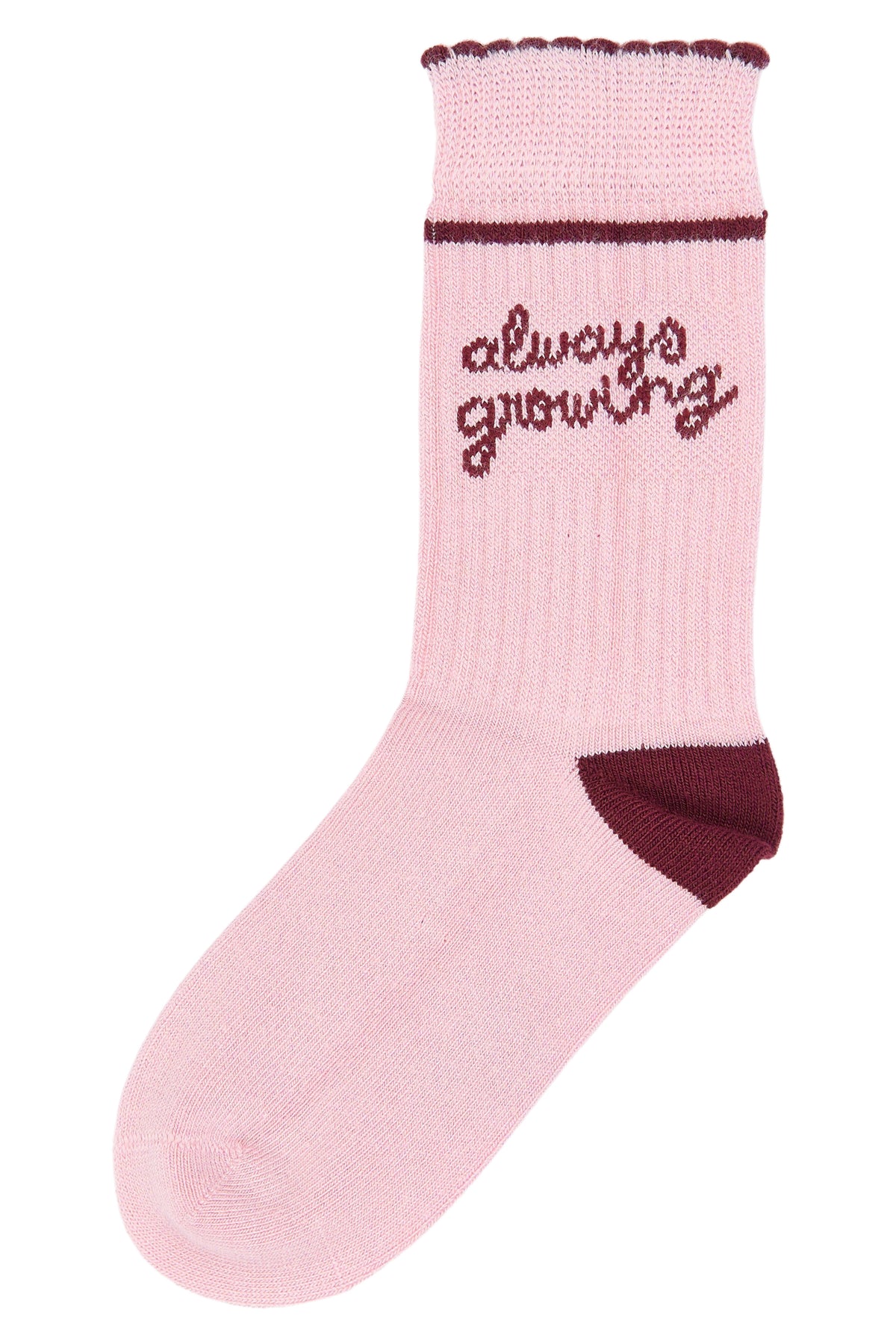 Pack chaussettes - Plusieurs pointures