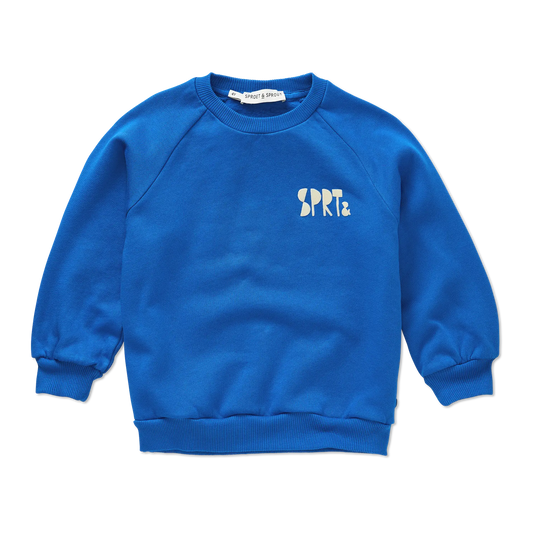 Sweat Bleu - Divers tailles