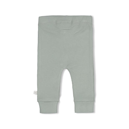 Legging bébé vert pâle - divers tailles