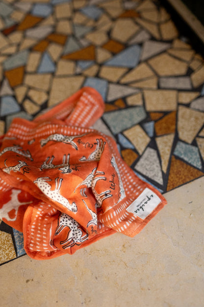 Foulard PONGO - Colorado